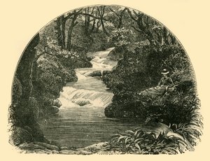 Bagworthy Waterslide, 1898. av Unbekannt
