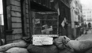 Barrikaden på Rue de Chateaudun, frigjøring av Paris, august 1944 av Unbekannt
