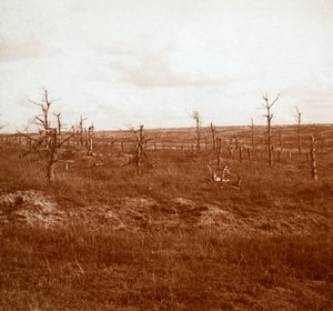Battlefield, Tahure, Nord-Frankrike, c1914-c1918 av Unbekannt