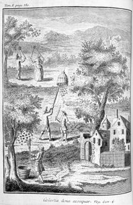 Birøkter, 1775 av Unbekannt