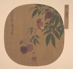 Fugl på en litchi-gren. av Unbekannt