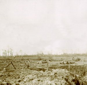 Liker etter angrep, c1914-c1918 av Unbekannt