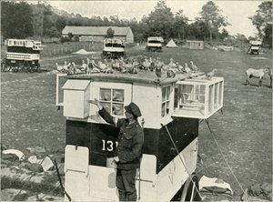 British Army Carrier Pigeons in France: Horse-Drawn Lofts, 1919. av Unbekannt