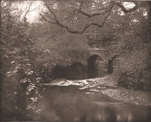 Bekk og bro i New Forest, Hampshire, 1894. av Unbekannt
