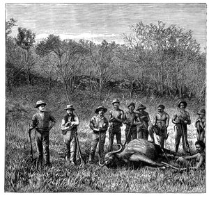 Bøffeljegere i Transvaal, Sør-Afrika, ca 1890 av Unbekannt