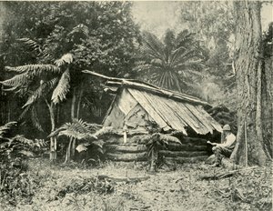 Bush Hut, Dandenong Ranges, Victoria, 1901. av Unbekannt