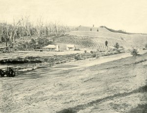 Bush Workmans Home, Gippsland, Victoria, 1901. av Unbekannt