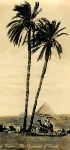Kairo - Pyramidene i Girzeh, c1918-c1939. av Unbekannt
