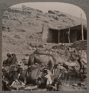 Kameltog fra Jerash, vanning ved Elisha-fontenen, ca. 1900 av Unbekannt