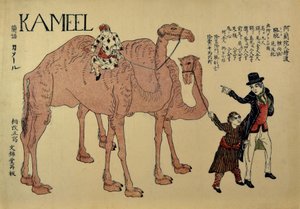 Kameler med nederlandske håndtere, ca. 1821. av Unbekannt