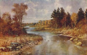 Kanadisk skogscene, 1924 av Unbekannt