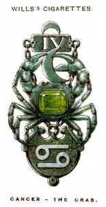 Kreft, Krabben, 1923 av Unbekannt