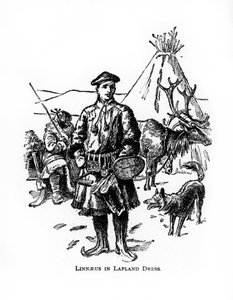 Carolus Linnaeus , svensk botaniker, lege og zoolog fra 1700-tallet, 1900-tallet av Unbekannt