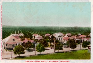 Castro Street, Hayward, California, 1905 av Unbekannt