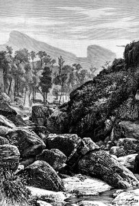 Ceylon Sri Lanka, 1895 av Unbekannt