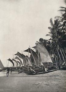 Ceylonesiske utrigger havfiskebåter, 1926 av Unbekannt