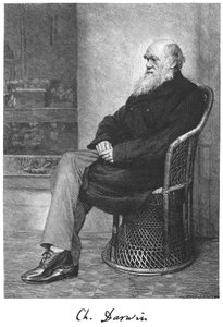 Charles Darwin, engelsk naturforsker, 1883 av Unbekannt