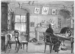 Charles Darwin, engelsk naturforsker, i sin studie, c1870 1887 av Unbekannt