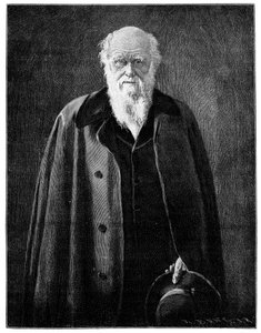 Charles Darwin, kjent naturforsker og tenker, 1900 av Unbekannt