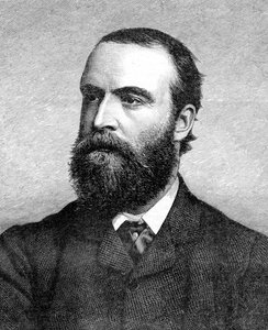 Charles Stuart Parnell , irsk politiker fra 1800-tallet, c1874-1891 av Unbekannt