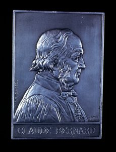 Claude Bernard , fransk fysiolog fra 1800-tallet, 1913 av Unbekannt
