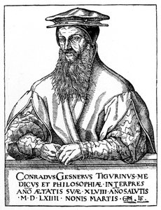 Conrad Gessner, sveitsisk naturforsker, 1887 av Unbekannt