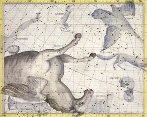 Constellation of Pegasus, 1729 av Unbekannt