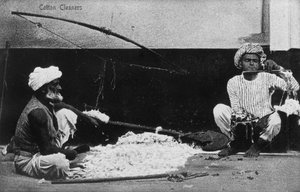 Bomullsrensere, India, 1900-tallet av Unbekannt