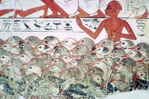 Å telle gjessene: fragment av veggmaleri fra graven til Nebamun, Theben, Egypt, c1350 f.Kr. av Unbekannt