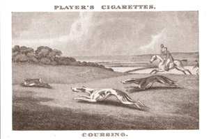 Coursing-11, 1924. av Unbekannt