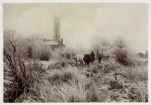 "Kyr i en frostmark", vers 1890 av Unbekannt