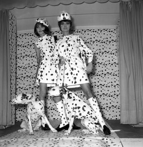 Dalmatisk modus av Unbekannt