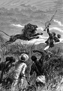 David Livingstone , skotsk misjonær og afrikansk oppdagelsesreisende, anklaget av en løve, c1860 av Unbekannt