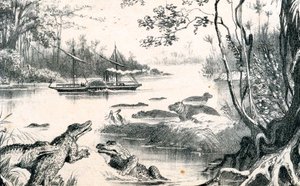 David Livingstone navigerer i Zambezi, Afrika, 1852-1864 c1878 av Unbekannt