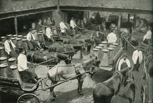 Varebiler som starter fra Mrs, Freeth og Pococks Central Depot i Vauxhall, 1902. av Unbekannt
