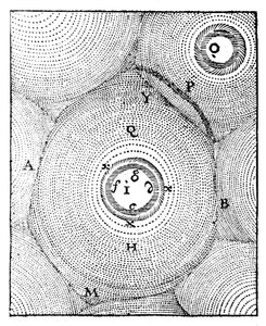 Descartes modell av universet, 1668 av Unbekannt
