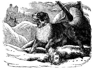 Hund fra Hospice of St Bernard finner en reisende i snøen, c1840 av Unbekannt