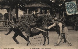 Donkey Tetu and Recalcitrant - Postkort datert 1904 av Unbekannt