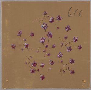 Tegning, fra Saint Germain - bind 1 og 2 av Unbekannt