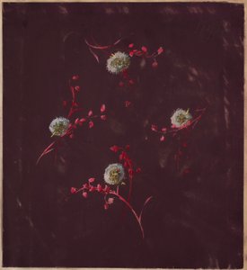 Tegning, fra Saint Germain - bind 1 og 2, ca. 1896 av Unbekannt
