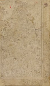 Tegning av dyr og planter, tidlig 1600-tall. av Unbekannt
