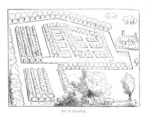 Duck Island, ca 1870 av Unbekannt