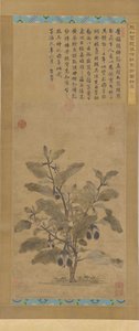 Aubergine, Ming-dynastiet, 1368-1644. av Unbekannt