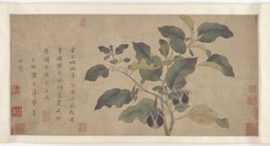 Aubergine, Yuan eller Ming-dynastiet, 1300-tallet. av Unbekannt