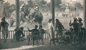 Elefantkamp ved Baroda, 1896 av Unbekannt