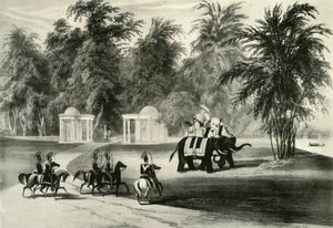 Elefanter og kroppsvakt i Barrackpore Park, 1820, 1925. av Unbekannt