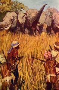 Elephants in Chase, c1850 c1912 av Unbekannt
