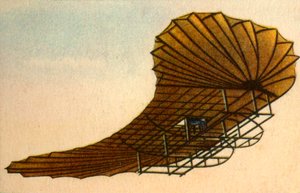 Etrichs Zanonia glider, 1906. 1932. av Unbekannt