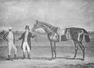 Euclid, nummer to i St. Leger, 1839, etter et dødt løp med Charles XII, c1839, 1911 av Unbekannt