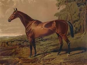 Fair Nell, c1879. av Unbekannt